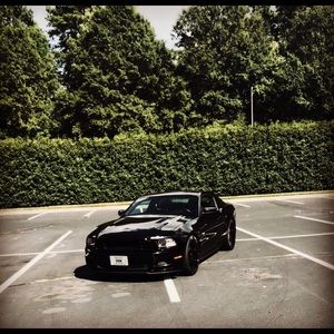 Meet your Posher, Paul